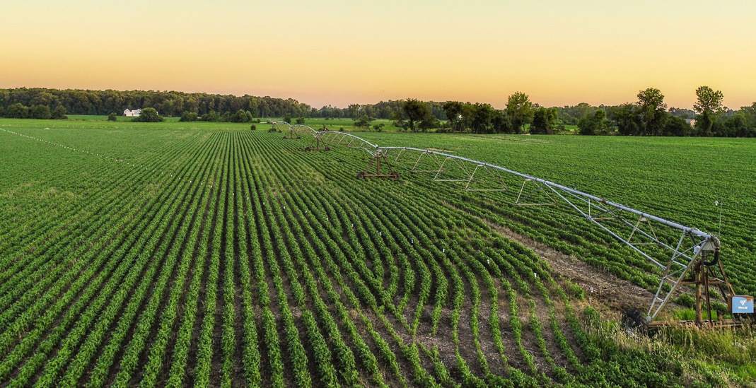 Extension Impact Report_Irrigation_pivot_image.jpg